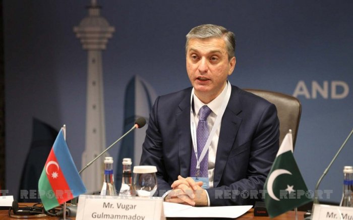    Vüqar Gülməmmədov Palatanın rəyini Milli Məclisə təqdim etdi   