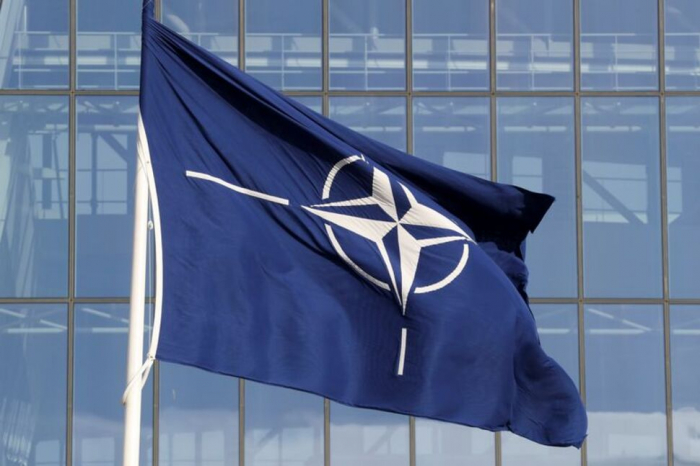 ABŞ Finlandiya və İsveçin NATO-ya müraciətini dəstəkləyəcək  
