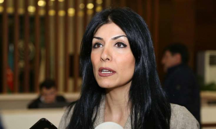       Deputat narazılıq etdi:    "Bürokratiya çoxdur"    
