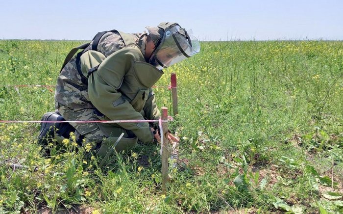    Ötən ay 2300 hektar ərazi minalardan təmizlənib   
