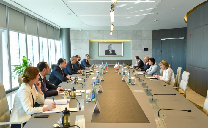   Azerbaijan, Italy discuss expansion of bilateral economic and trade relations  