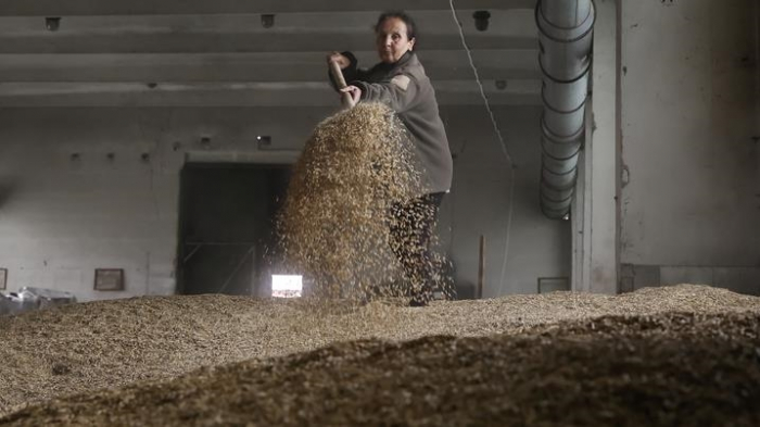 20M tons of grain to be available to world thanks to command center in Istanbul
 