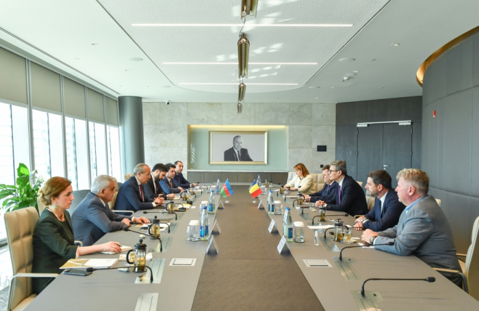   Azerbaijan, Romania discuss expansion of economic relations  