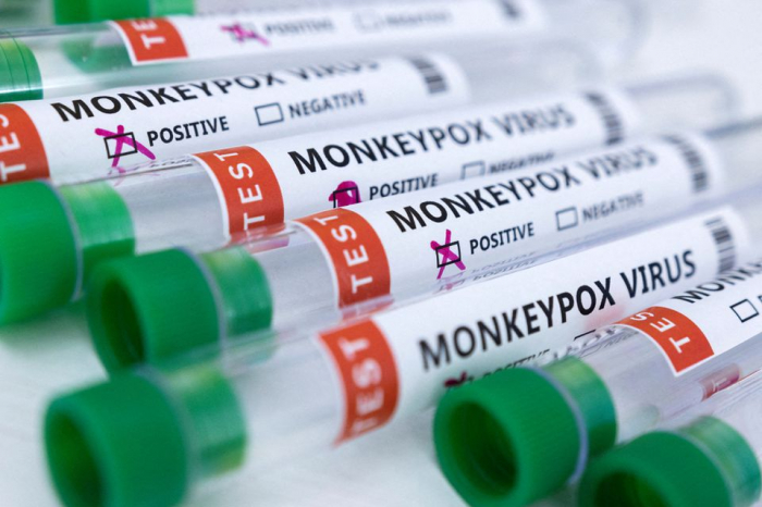 Test makers target monkeypox market as cases surge