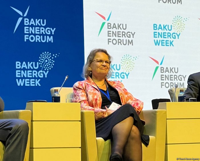 Netherlands can share experience in renewable energy projects with Azerbaijan, says ambassador