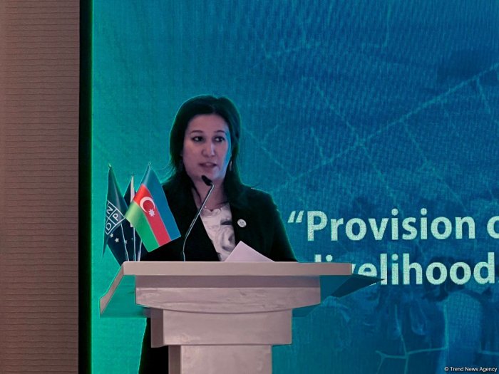 UNDP talks future benefits from accelerating demining process in Azerbaijan