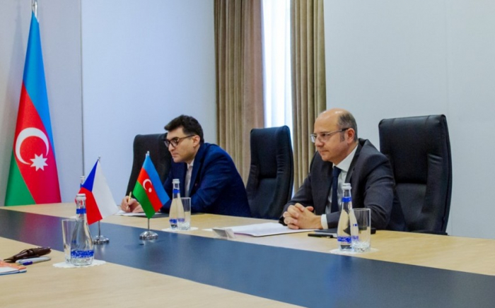 Azerbaijan and Czech Republic to create joint working group 