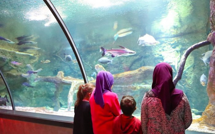    İraq və Suriyadan qaytarılan uşaqları    Zooloji Parka aparıblar