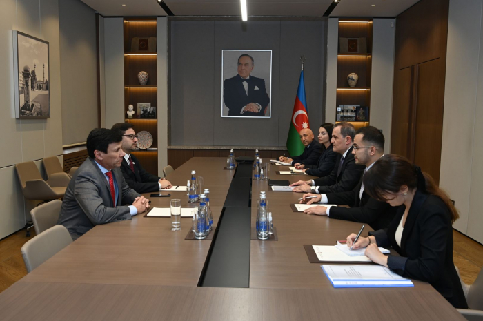 Azerbaijani FM discusses bilateral ties with delegation of Parliament of Paraguay