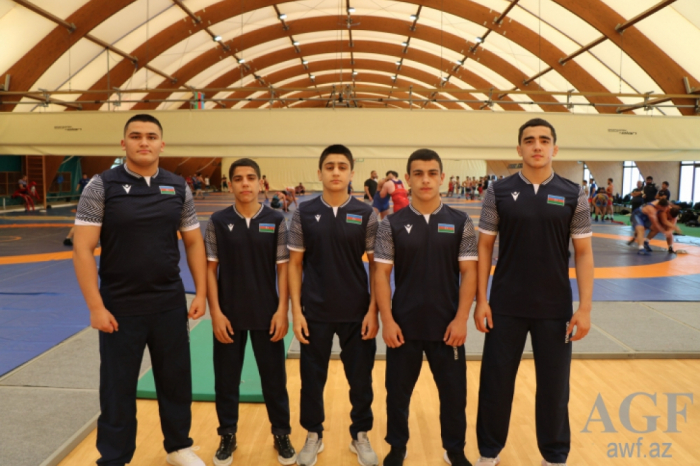 Four Azerbaijani wrestlers reach European Cadets Championships final