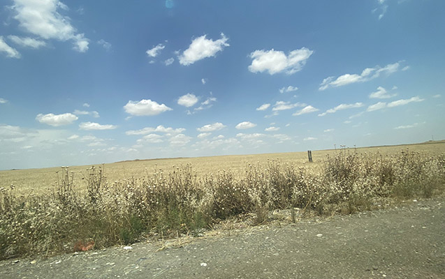   Es hora de cosechar cebada y trigo en los territorios liberados de Fuzuli, dijo el embajador  