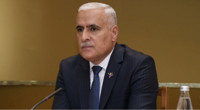    "Şuşa Bəyannaməsinin tarixi əhəmiyyəti olduqca böyükdür"   