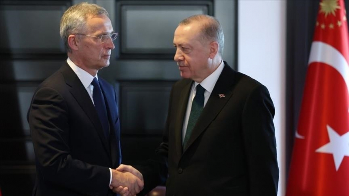   Turkish president, NATO chief discuss alliance bids of Sweden, Finland   