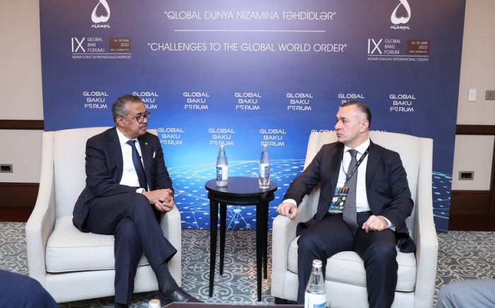   Azerbaijan health minister, WHO chief meet in Baku   