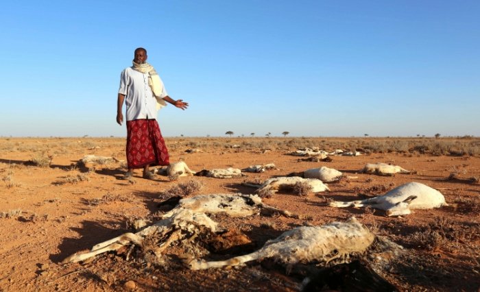 Somalidə 350 mindən çox uşaq aclıqdan ölə bilər