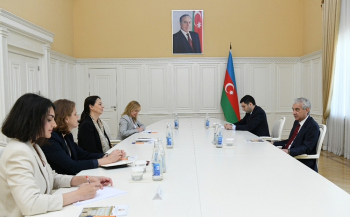   Stellvertretender Ministerpräsident trifft sich mit neuer Leiterin der IKRK-Delegation in Aserbaidschan  