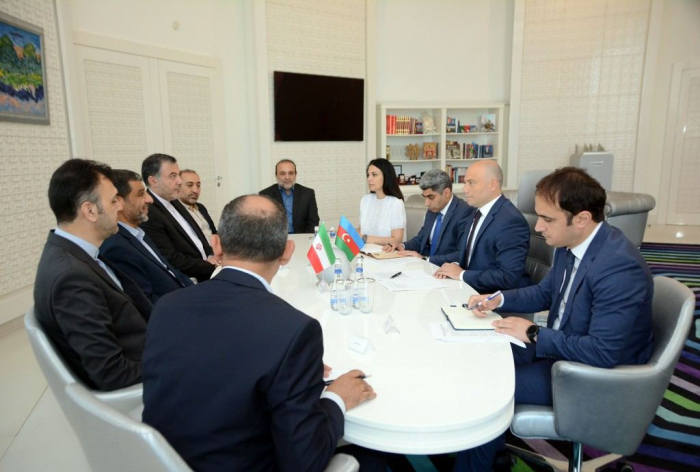 Iranian and Azerbaijani Ministers of Culture hold meeting 