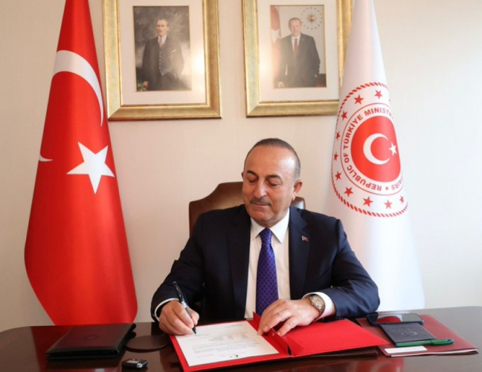   Türkiye to submit official letter to UN, international organizations for new global brand  