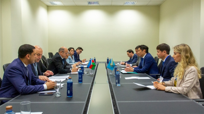 Azerbaijan discusses prospects of energy cooperation with Italy and Kazakhstan