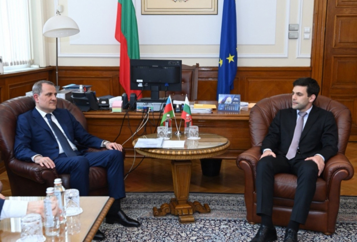 Azerbaijani FM meets with Bulgarian National Assembly head 