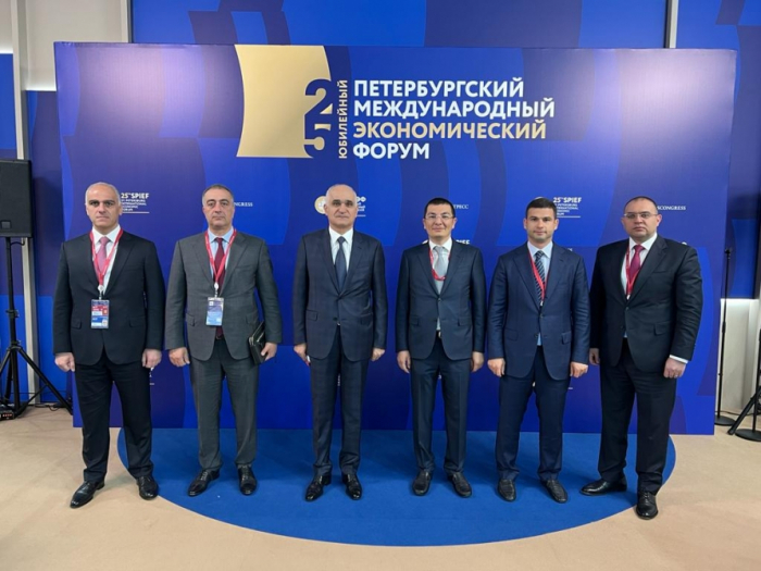   Azerbaijani Deputy PM attends 25th St. Petersburg International Economic Forum  