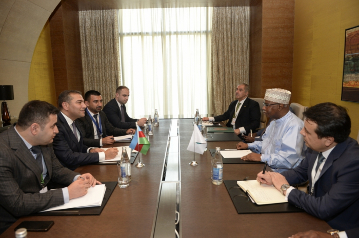 Chairman of Azerbaijani State Tourism Agency meets with OIC Secretary General
