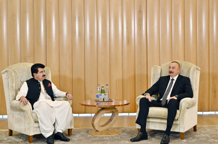  Azerbaijani President receives Chairman of Senate of Pakistan 