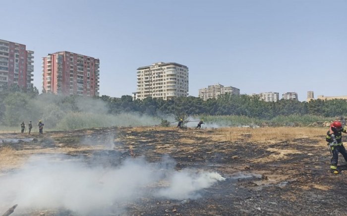 Bakıda parkı qəsdən yandıran şəxs saxlanıldı  
