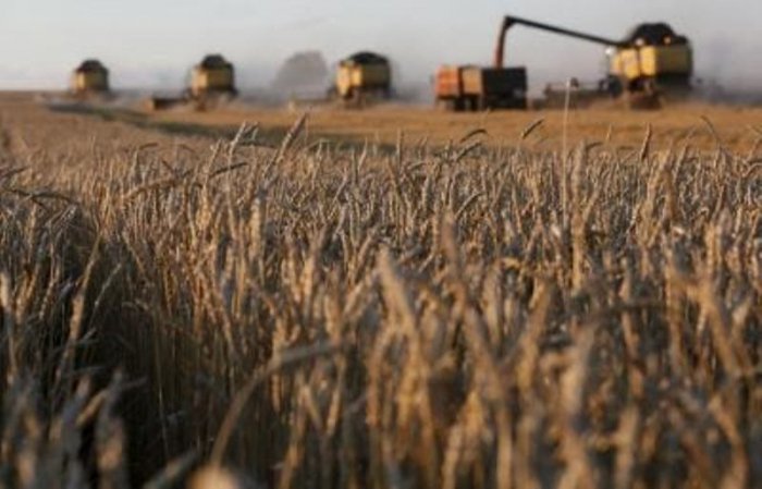 Ukrayna taxıl ixracı üçün Polşa və Rumıniya üzərindən marşrutlar yaradıb   