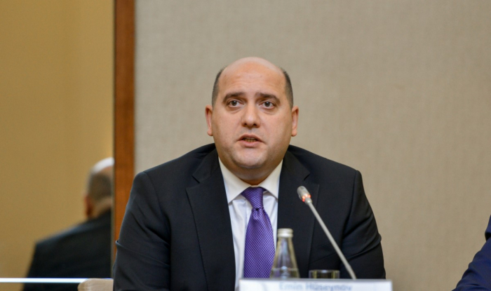    "Azərbaycan Qarabağda bərpa işlərini öz imkanları hesabına edir"   
