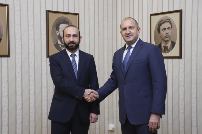  Armenischer Außenminister traf mit dem Präsidenten Bulgariens zusammen 