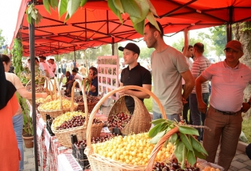 Azerbaiyán acoge el primer festival de la cereza y la guinda