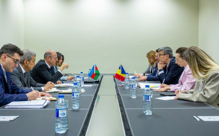   Azerbaijani and Romanian ministers discuss gas supply and energy export  