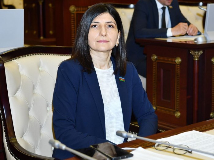    Azərbaycan Avropanın enerji təhlükəsizliyində artıq həlledici rol oynayır - Deputat   