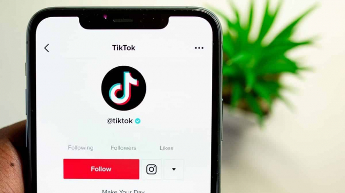 Le premier album de musique de TikTok annoncé