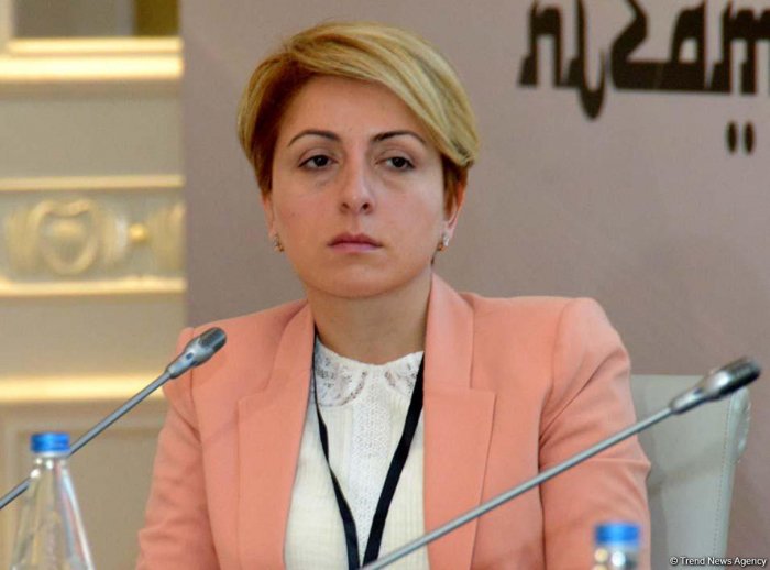    “Qonşu ölkəyə təcavüz cəzasız qalmamalıdır” -    Tkeşelaşvili      