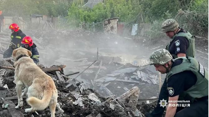    Donetskdə it xarabaya dönən evdə sahibini gözləyir -    FOTO+VİDEO      