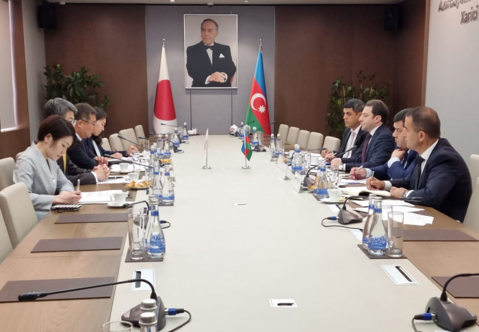   Außenminister Aserbaidschans und Japans halten politische Konsultationen ab  