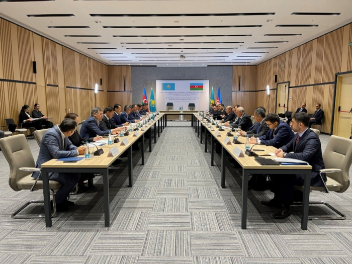   Azerbaijan, Kazakhstan discuss cooperation in various fields  