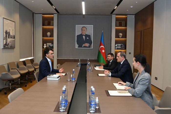   Azerbaijani FM meets with German scientist Michael Hess   
 