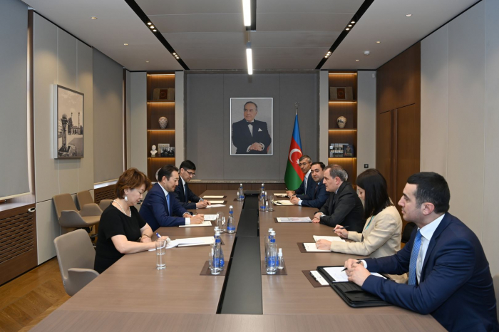   Azerbaijani FM meets with CICA Executive Director  
 