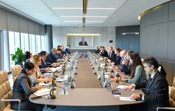 Azerbaijan, EU discuss creation of working group in field of investment identification