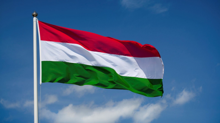 Hungary declares state of emergency in energy sector