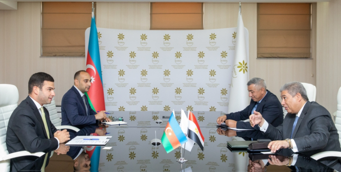   Azerbaijan, Egypt discuss implementation of joint projects  