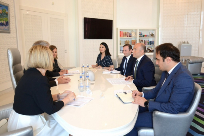 Ministro de Cultura se reúne con el embajador del Reino Unido en Azerbaiyán