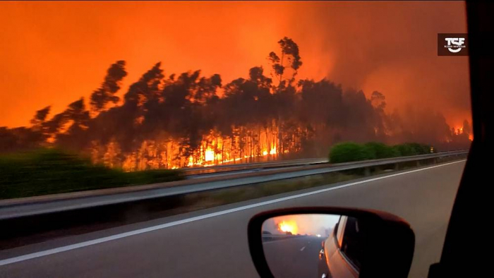  Car drives through violent wildfire in Portugal, as country wilts under heatwave -  NO COMMENT  