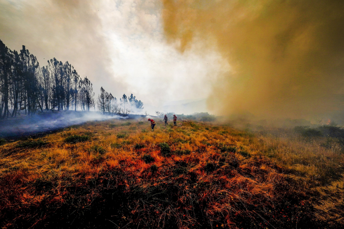 Heat wave in Spain, Portugal claims at least 322 lives 