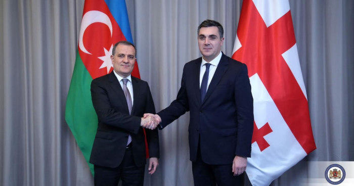 Georgian FM shares post about meeting of Azerbaijani and Armenian FMs 