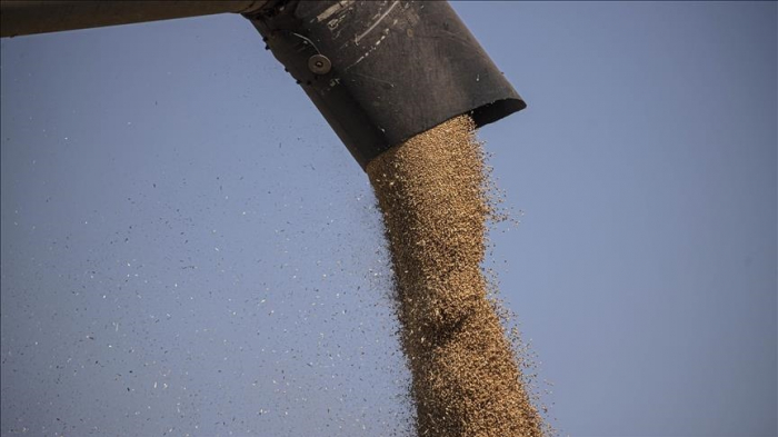 Istanbul center to coordinate Ukrainian grain exports to officially open Wednesday