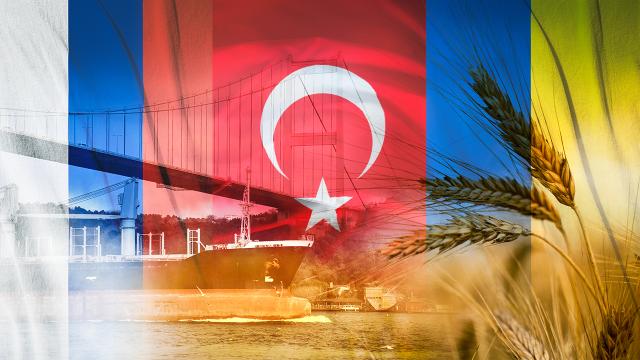    "Taxıl dəhlizi" üzrə  Birgə Koordinasiya Mərkəzi bu gün açılır   